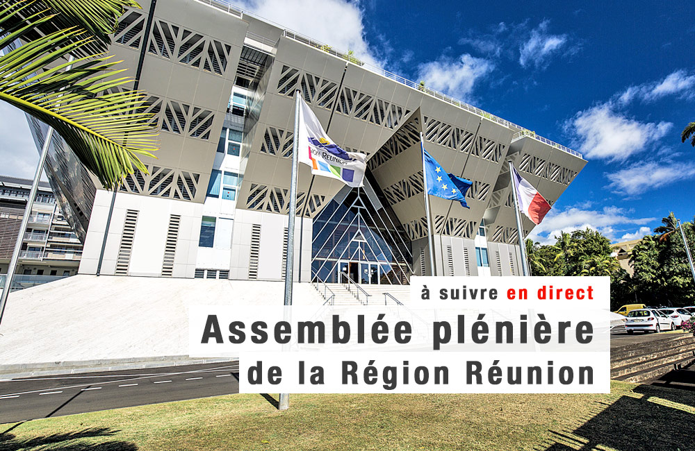 assemblee-pleniere-2021-02-2.jpg