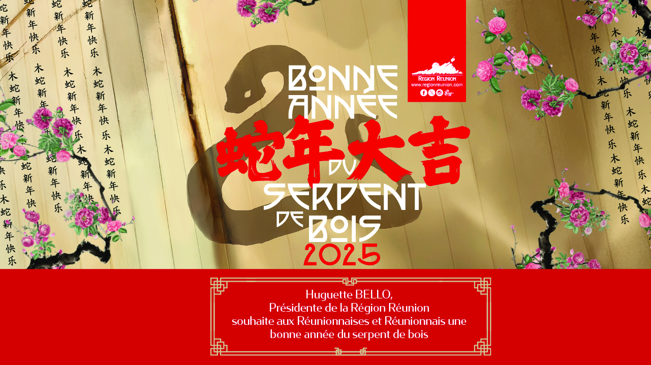 nouvel_an_chinois_2025_-_re_seaux4.jpg