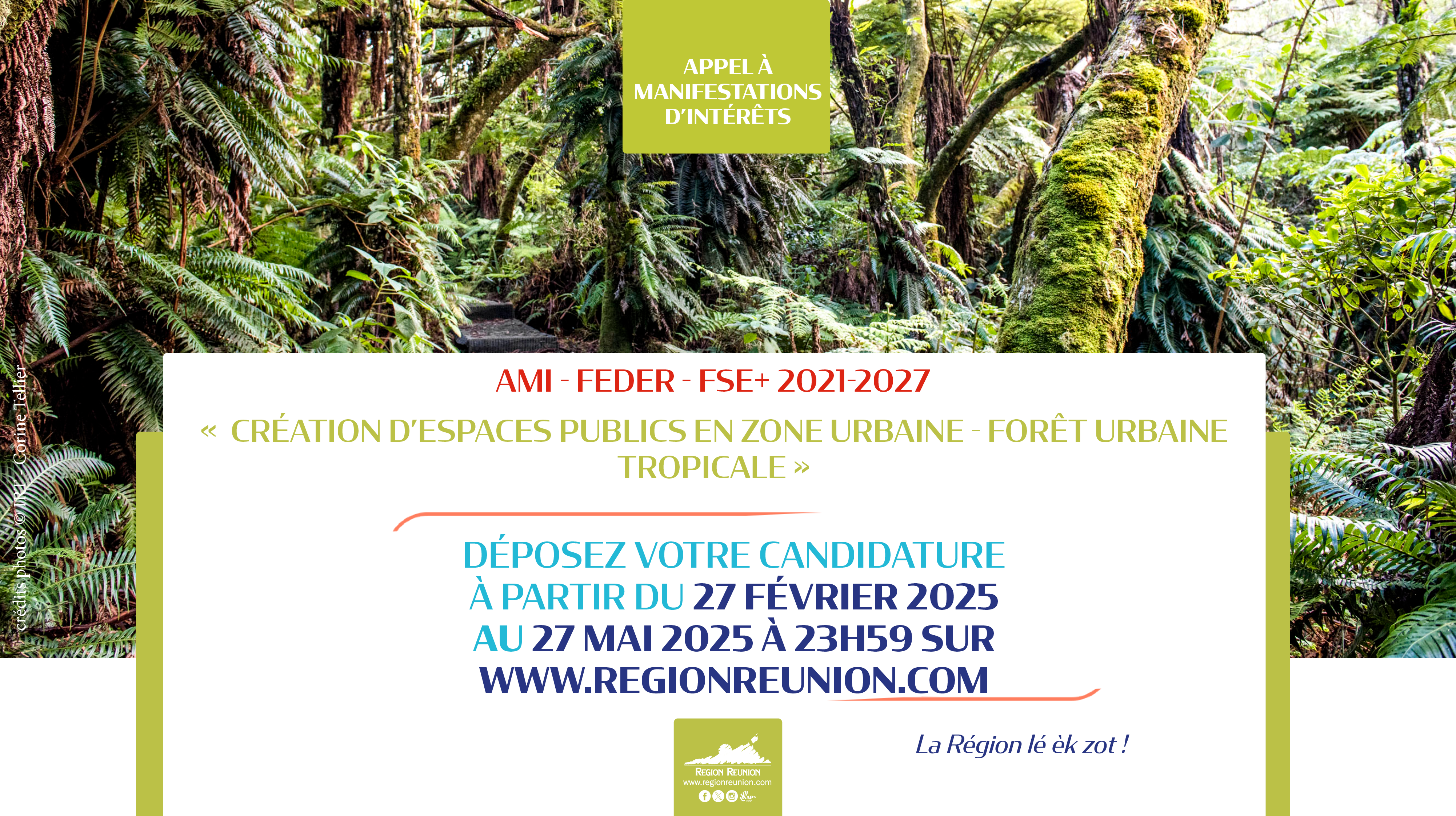 ami_fore_t_fe_vrier_2025_1_.png
