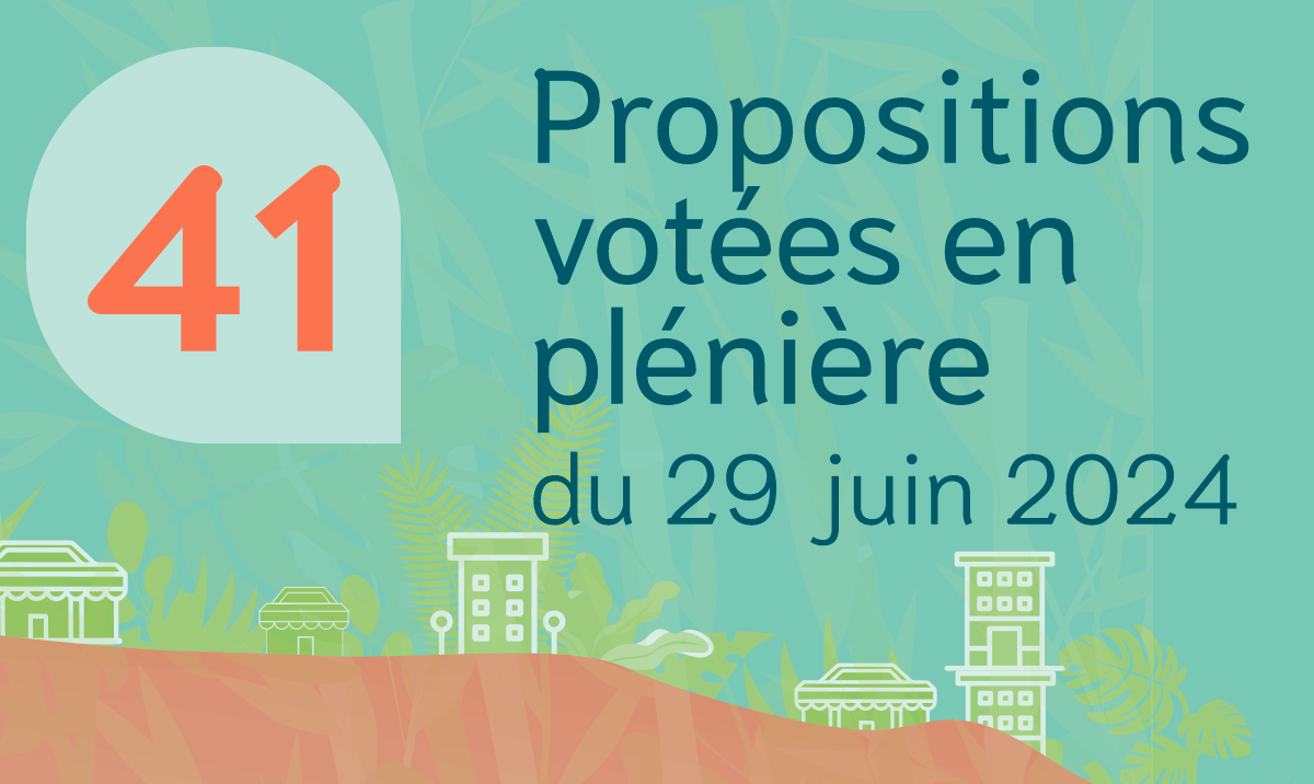 proposition_pleniere2.png